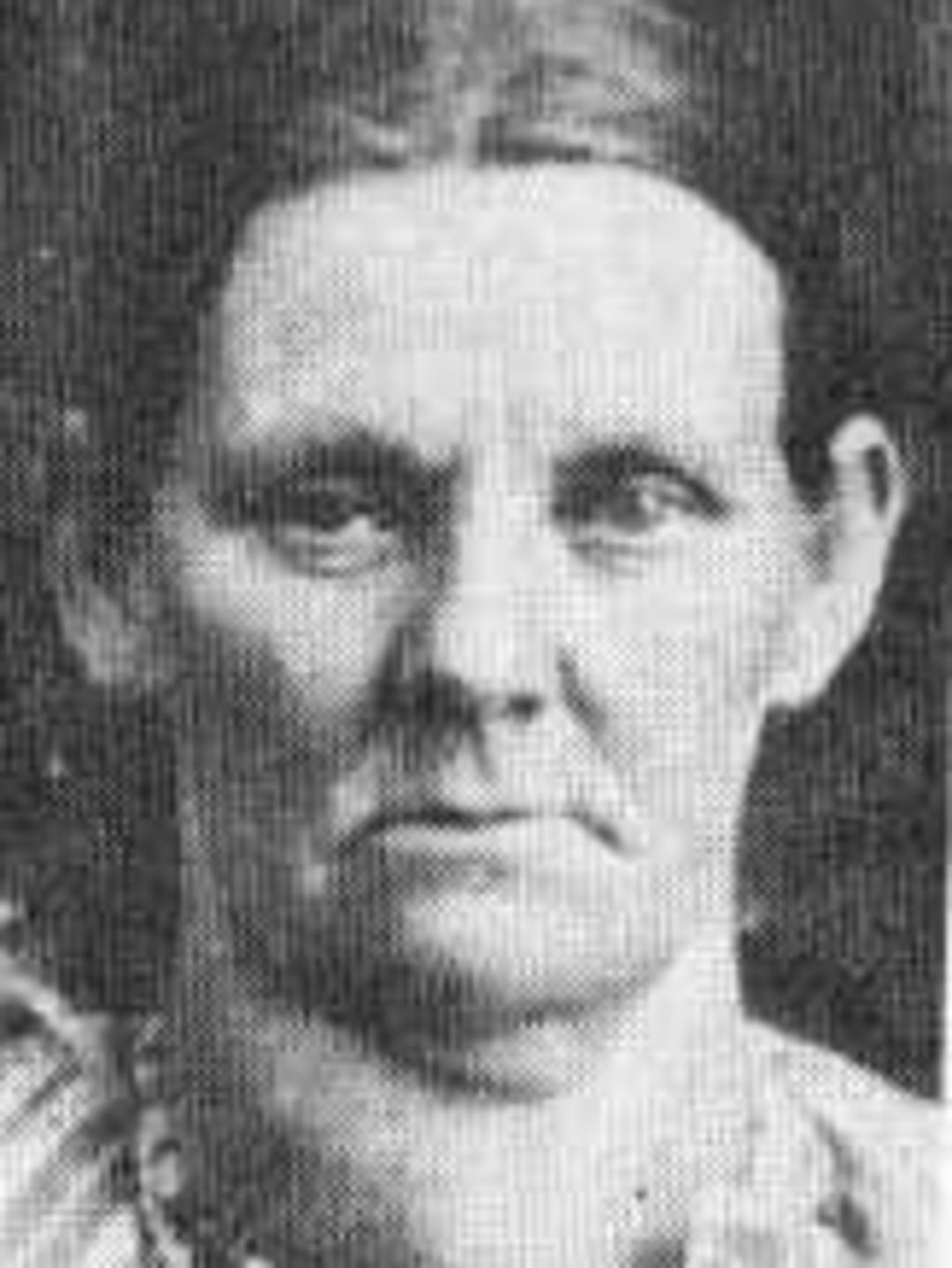 Martha Platt Wall (1852 - 1931) Profile